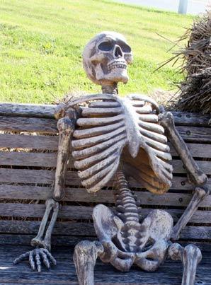 skeleton on a bench: the apify ssrf fix, waiting since march for its cve